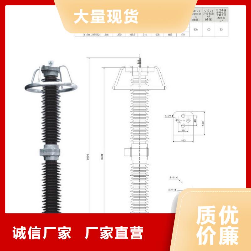 避雷器Y10W-216/562上海羿振电力设备有限公司