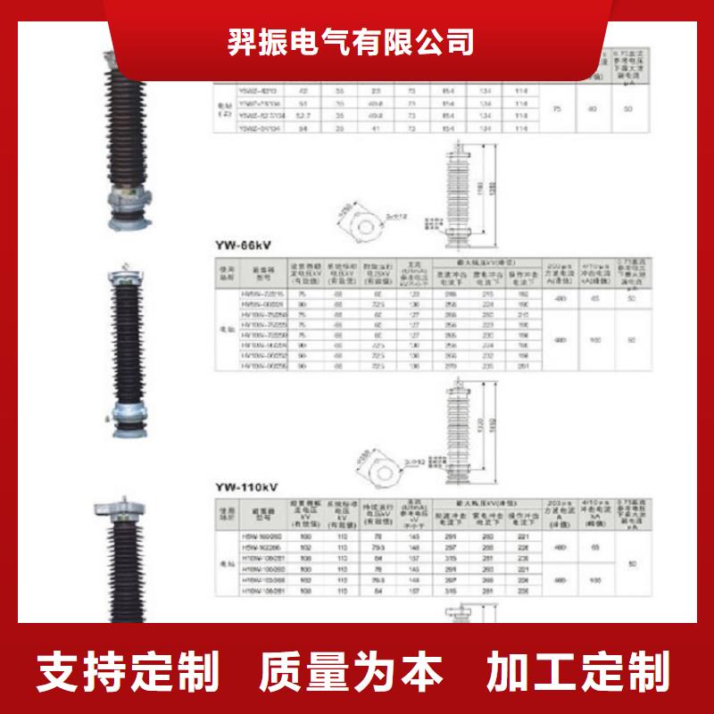 氧化锌避雷器Y5WT5-100/290S生产厂家