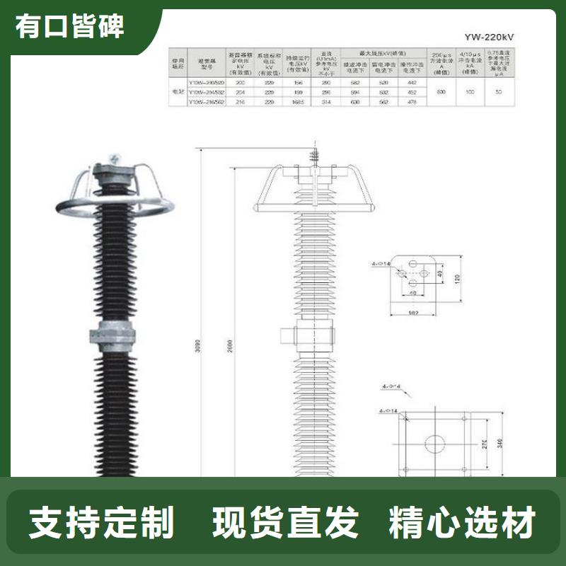 避雷器Y10W5-216/562GY浙江羿振电气有限公司