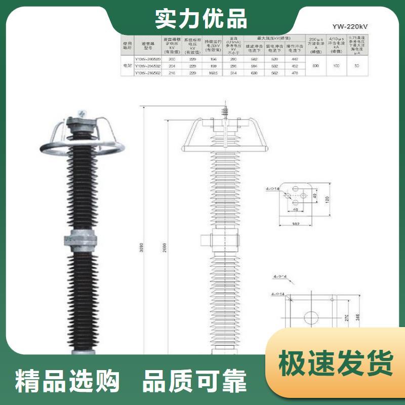 避雷器Y1W-146/320【羿振电气】