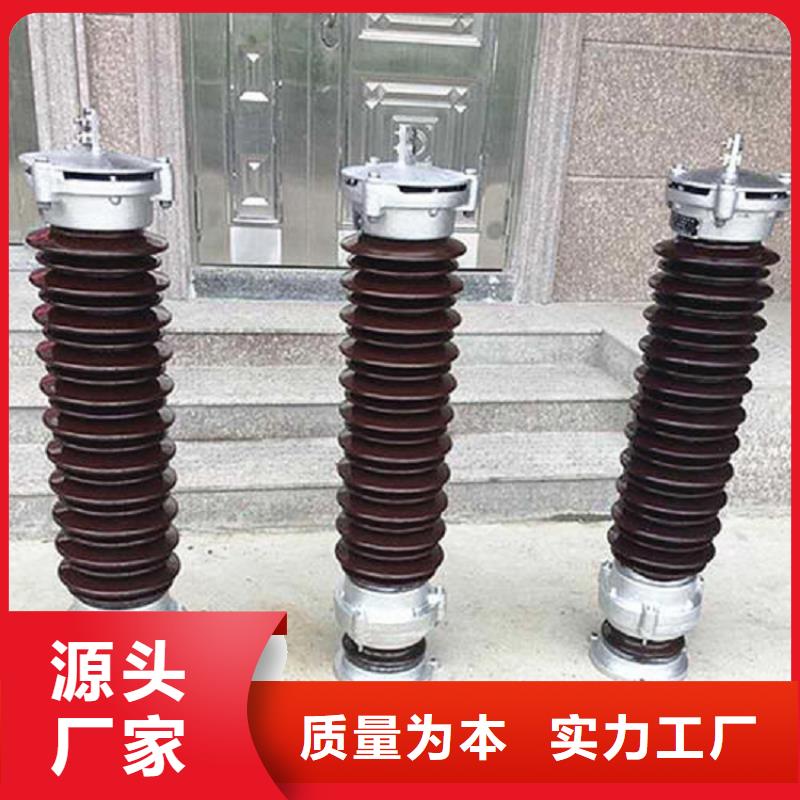 【羿振电气】避雷器Y5WT5-100/275S