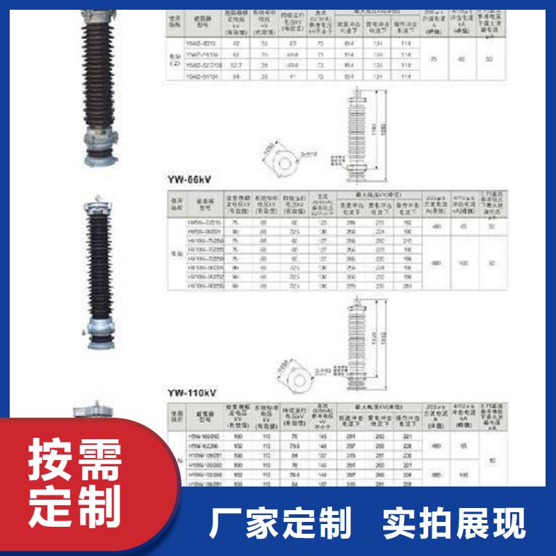 氧化锌避雷器Y10W-102/266上海羿振电力设备有限公司