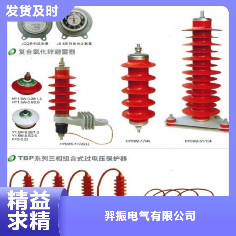 避雷器YH10CX5-108/281【羿振电力】