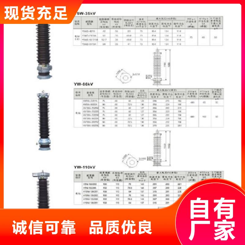 避雷器Y5W-96/250【羿振电气】