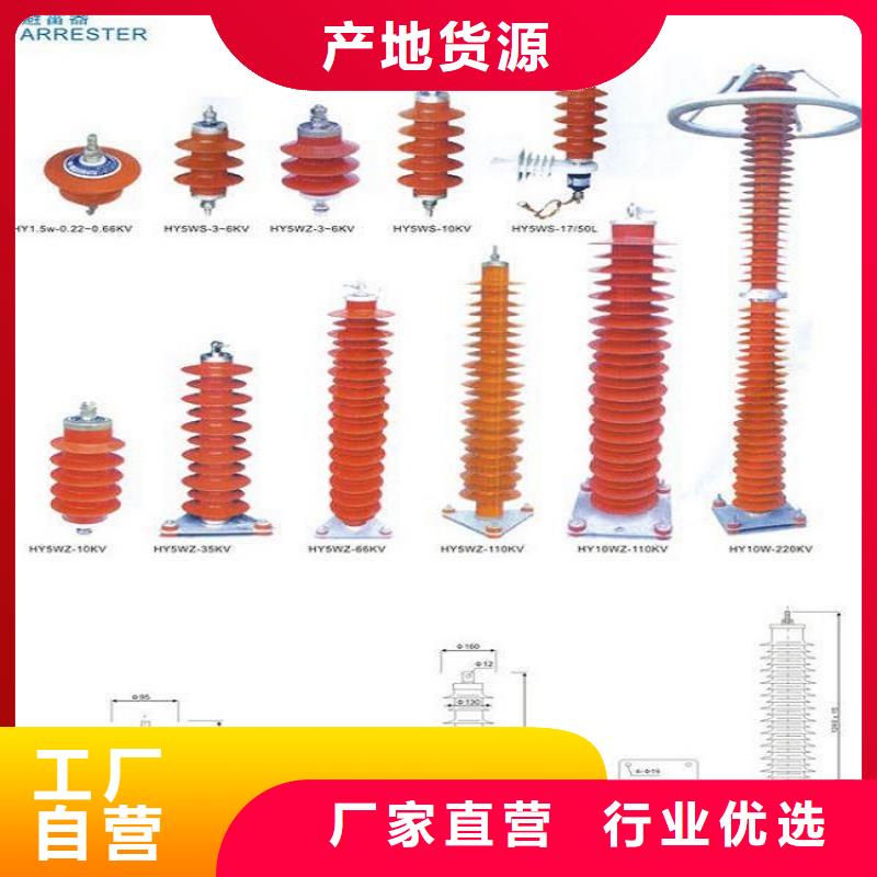 避雷器Y10W-100/260·