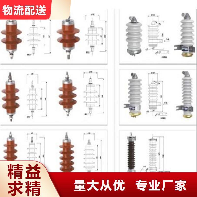 避雷器Y5WT-42/120·