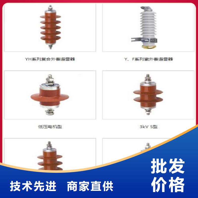 避雷器Y10WZ-102/266GY【羿振电力】