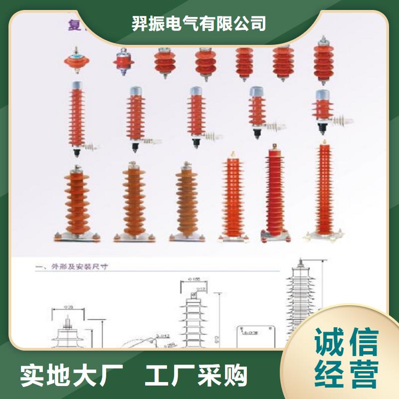 避雷器Y5W-96/250【羿振电气】