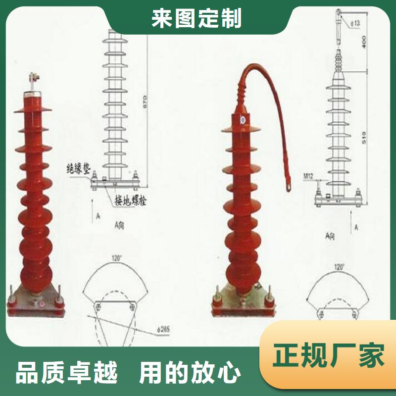 避雷器YH10CX5-204/532，放电计数器【羿振电气】