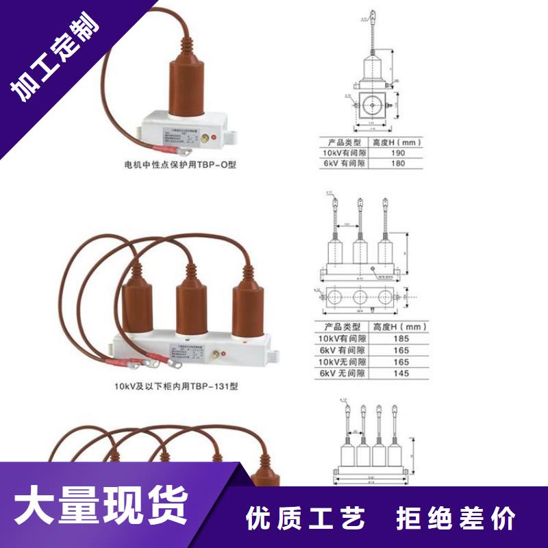 过电压保护器(组合式避雷器)TBP-C-6.3/85-J