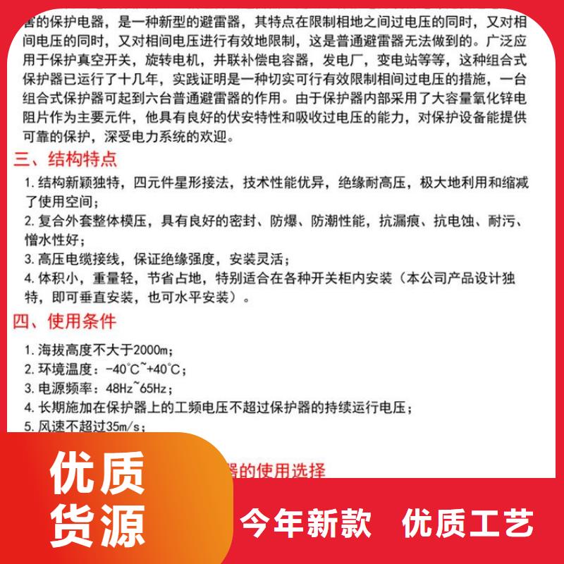 保护器(组合式避雷器)YHB5WZ-10/27*10/27.0