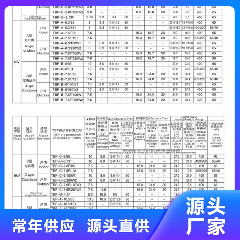 保护器(组合式避雷器)TBF-A-12.7F/131