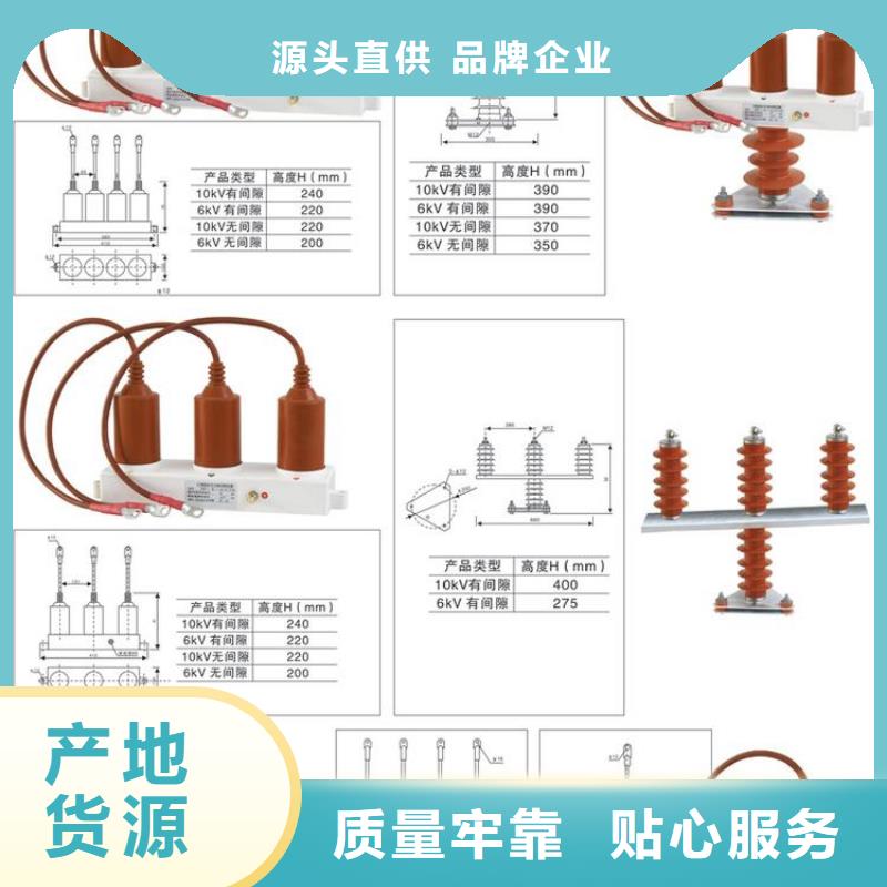 过电压保护器(组合式避雷器)YH5WD-8/25*8/19