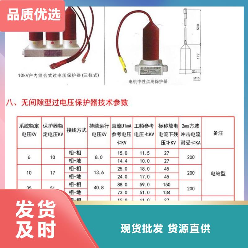 过电压保护器BSTG-B-12.7