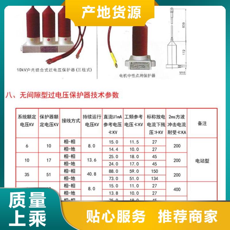 保护器(组合式避雷器)ZHB-TBP1-B-10