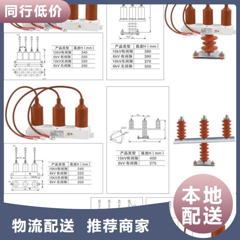 保护器(组合式避雷器)TBP-A-42F/280-J