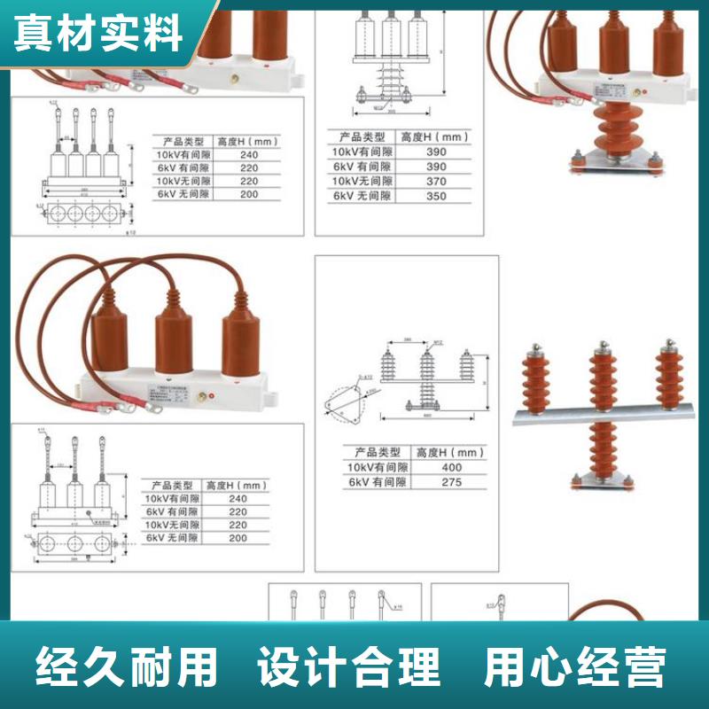 过电压保护器(组合式避雷器)TBP-B-42F/630W2