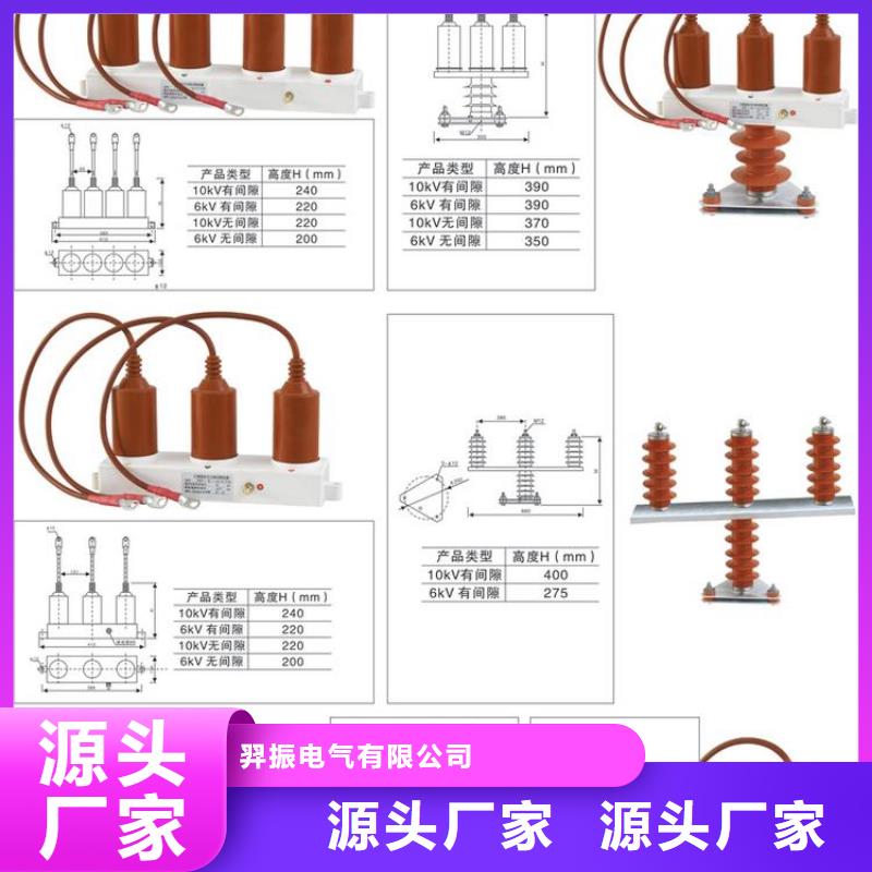 过电压保护器(组合式避雷器)BSTG-A-280W2