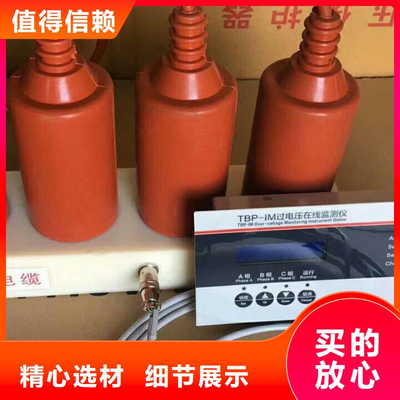 过电压保护器(组合式避雷器)TBP-C-42F/310