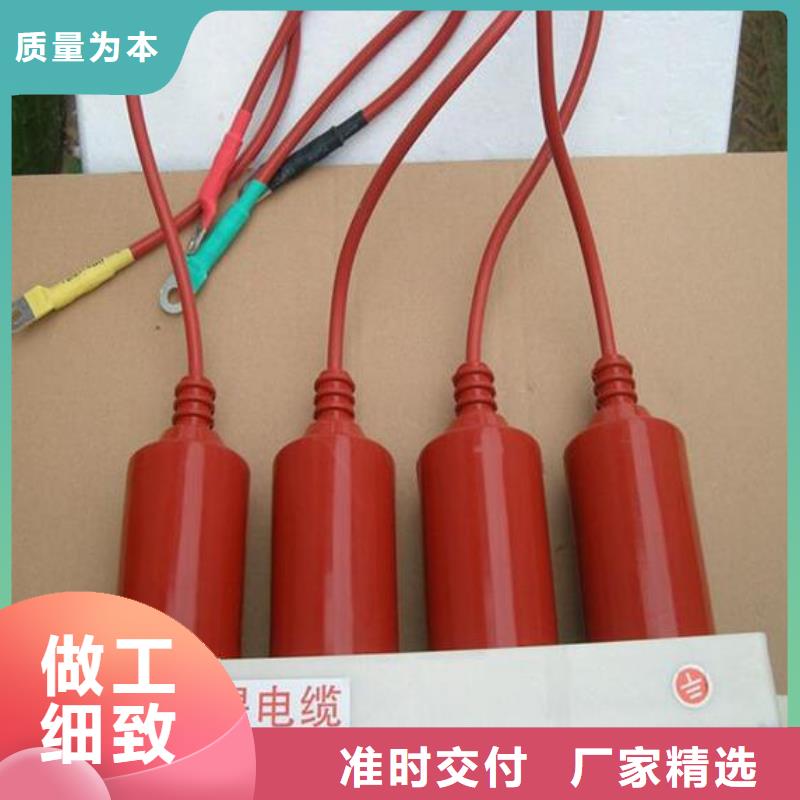 过电压保护器(组合式避雷器)TBP-A-6.3/85