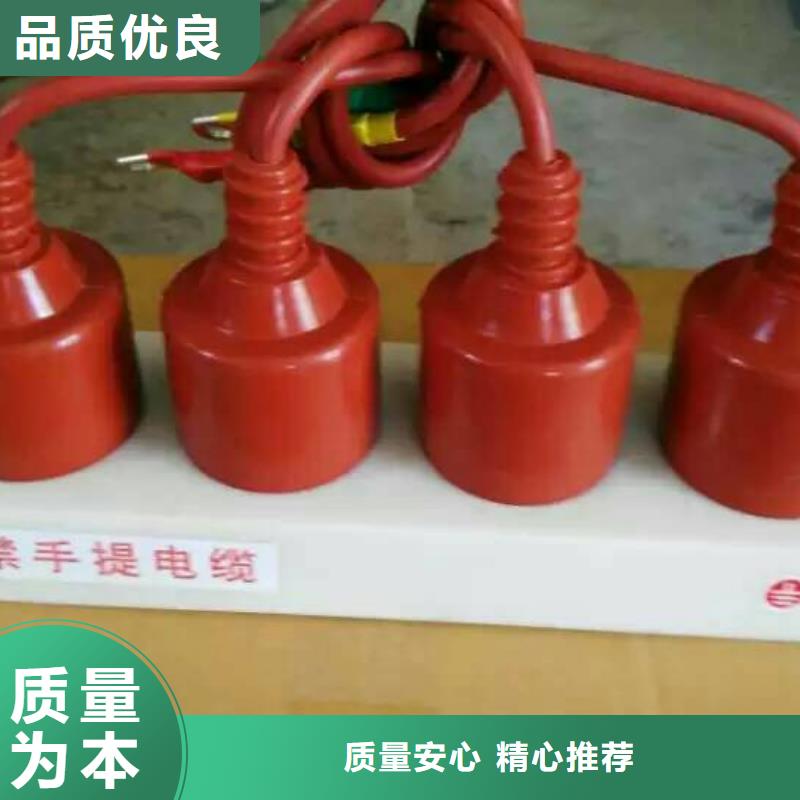 〖过电压保护器〗HTB-Z-35KV/300-N价格