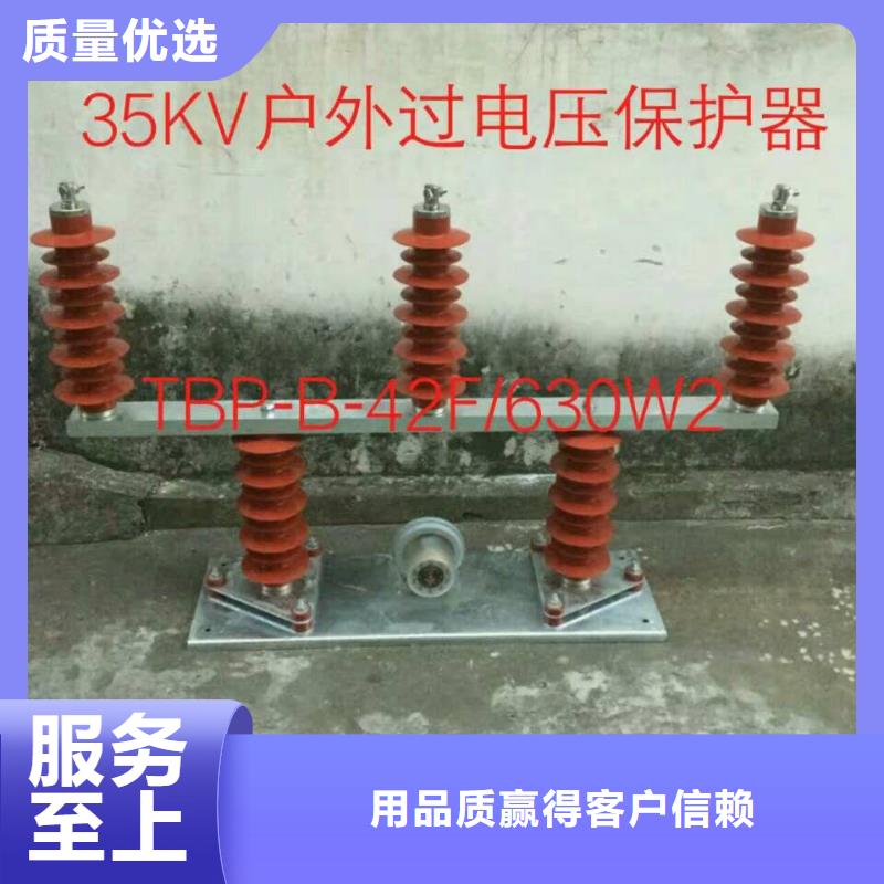 保护器(组合式避雷器)SYB-B-7.6/85