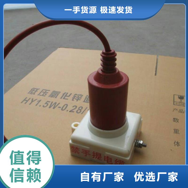 过电压保护器(组合式避雷器)TBP-A-42/630W