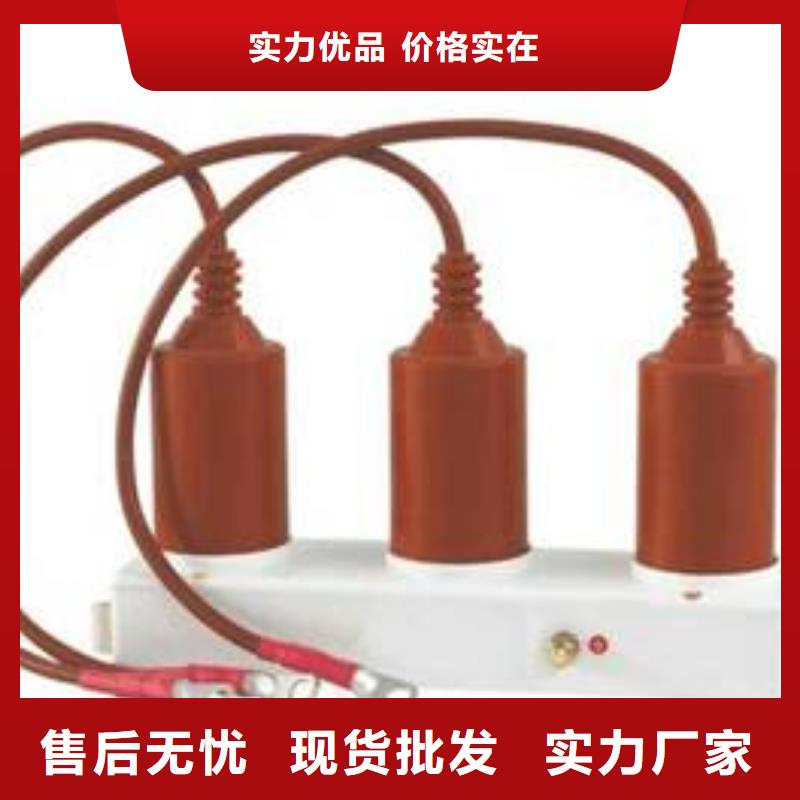 保护器(组合式避雷器)HBP-Z-42/110