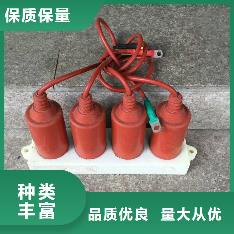 保护器(组合式避雷器)TBP-W-B/6-F组合过电压保护器