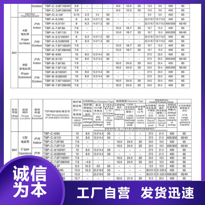 保护器(组合式避雷器)BSTG-A-12.7/131