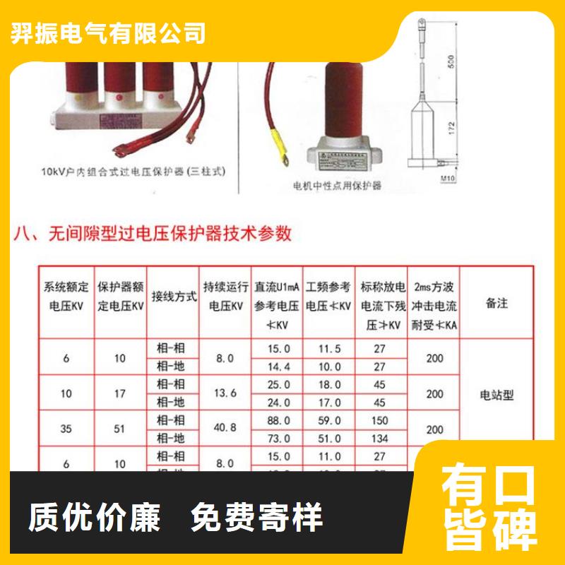 过电压保护器(组合式避雷器)TBP-A/F-6.3/85