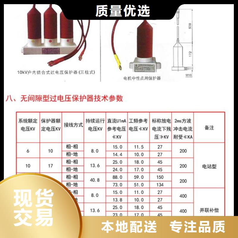 〖过电压保护器〗BSTG-C-12.7-J厂家价格