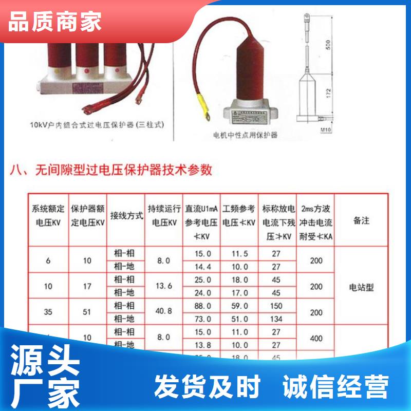 【羿振电力牌】过电压保护器TBP-A-42F/310