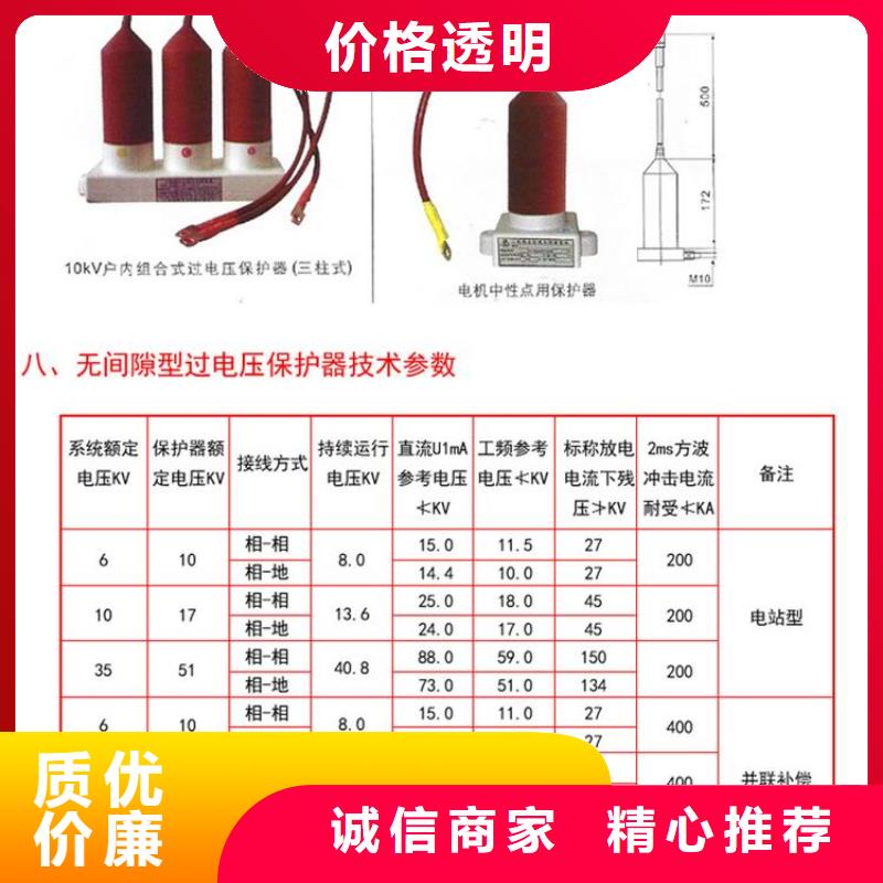 【羿振电力牌】过电压保护器TBP-A-7.6/85-J