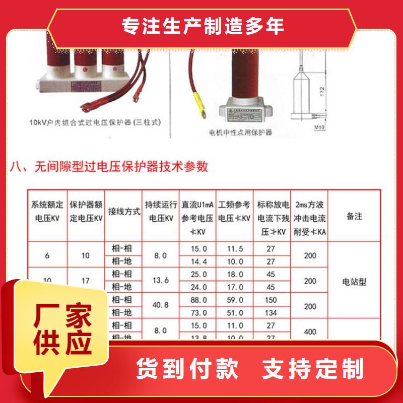 保护器(组合式避雷器)TBP-C-7.6F/150