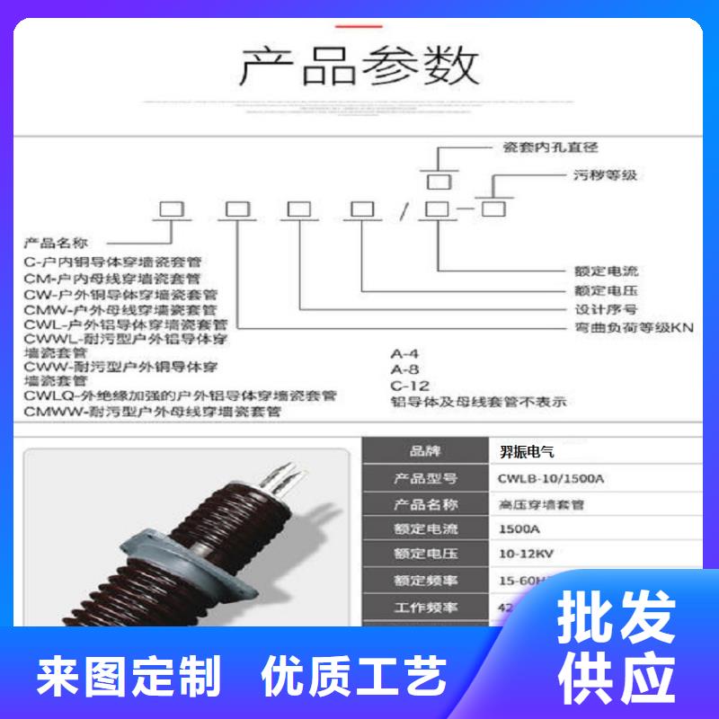 〖高压穿墙套管〗CWW-20/3000-3品质放心