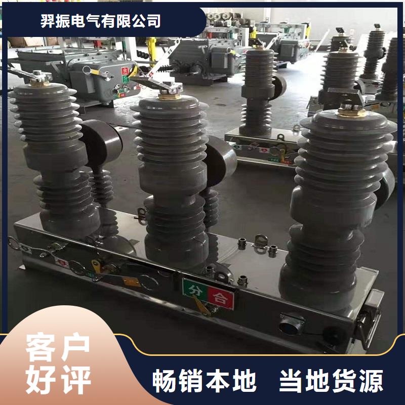 品牌：【羿振电气】交流断路器/AC10kV.630A.25kA.真空.有隔离闸刀.户外(电动.弹簧)，支柱式