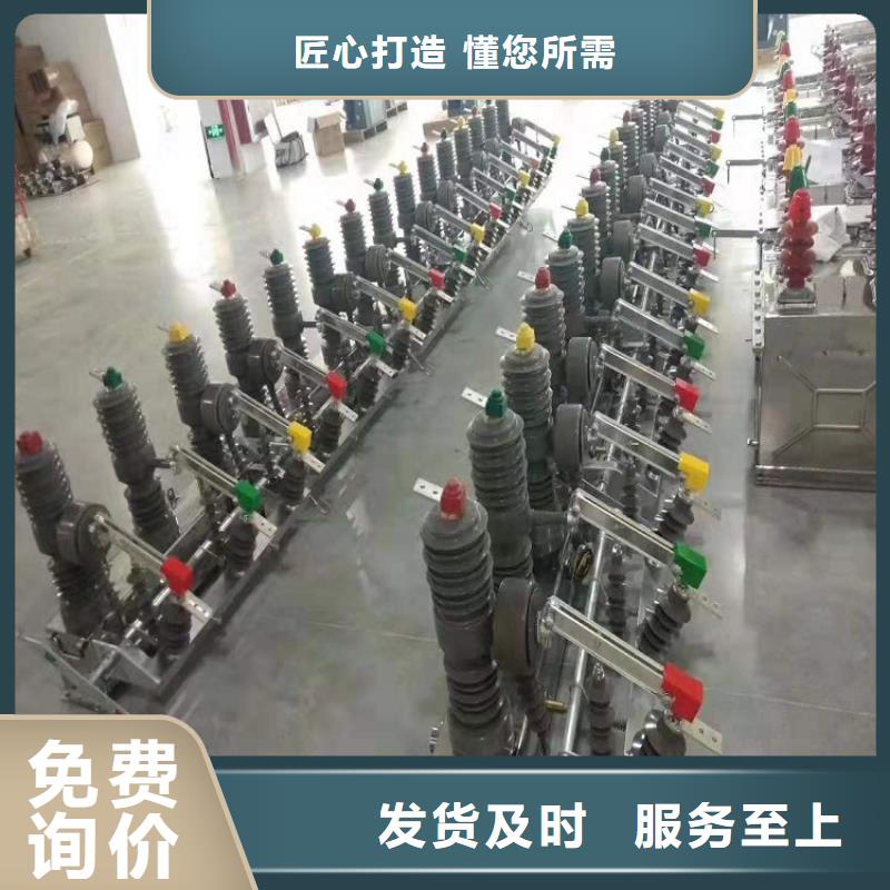 品牌：【羿振电气】交流断路器/AC10kV.630A.25kA.真空.有隔离闸刀.户外(电动.弹簧)，支柱式