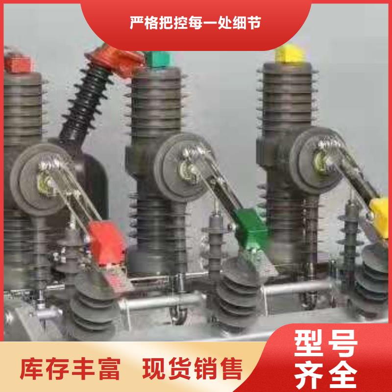 品牌：【羿振电气】交流断路器/AC10kV.630A.25kA.真空.有隔离闸刀.户外(电动.弹簧)，支柱式