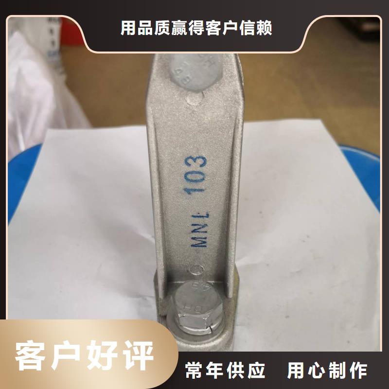 JNP-204铜(铝)母线夹具参数-铜母线夹具MWL-301