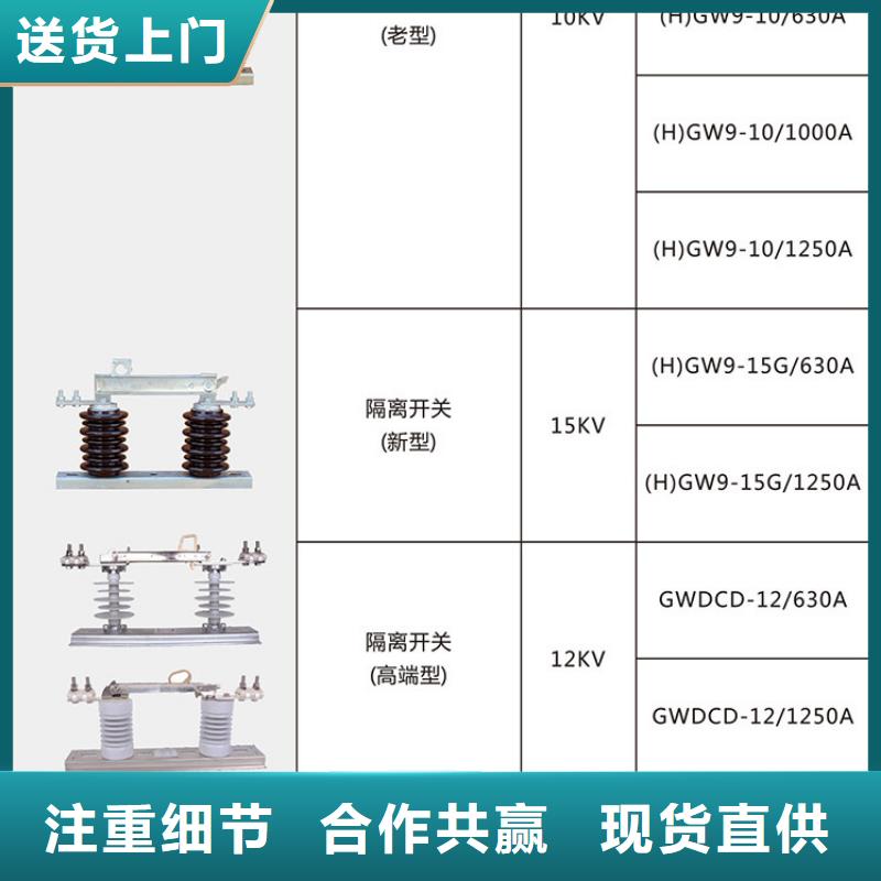 【羿振电气】户外高压交流隔离开关：HGW9-15W/200A免费咨询