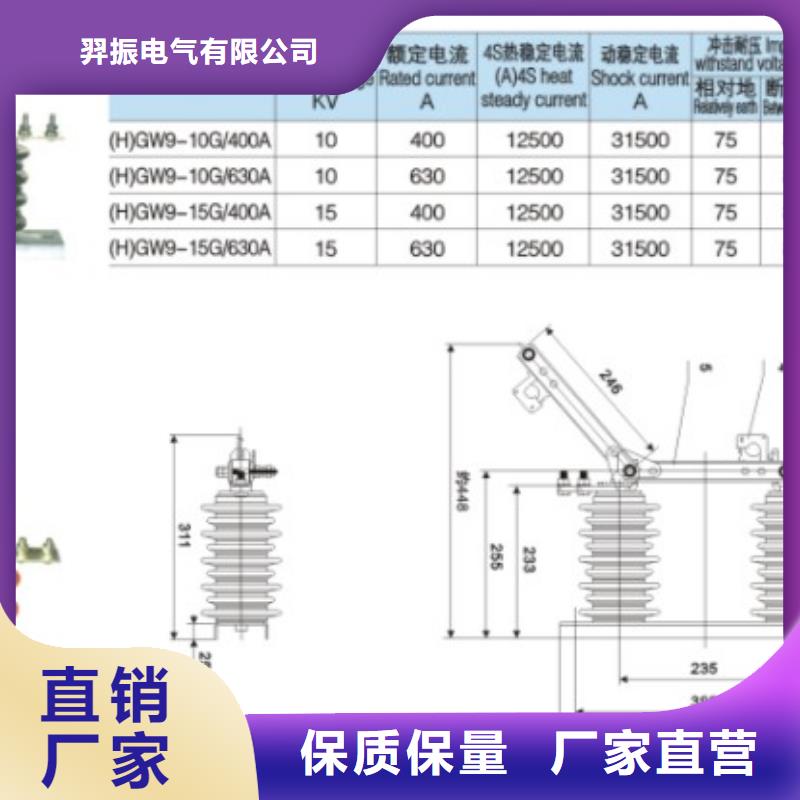 高压隔离开关HGW9-10/200