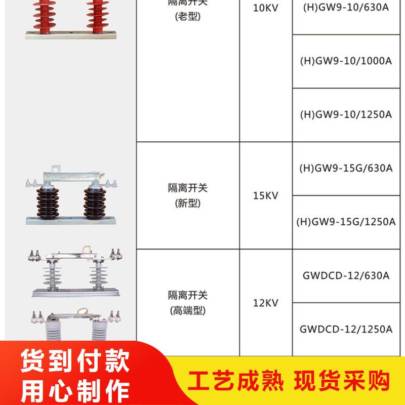 HGW9-24KV/630A