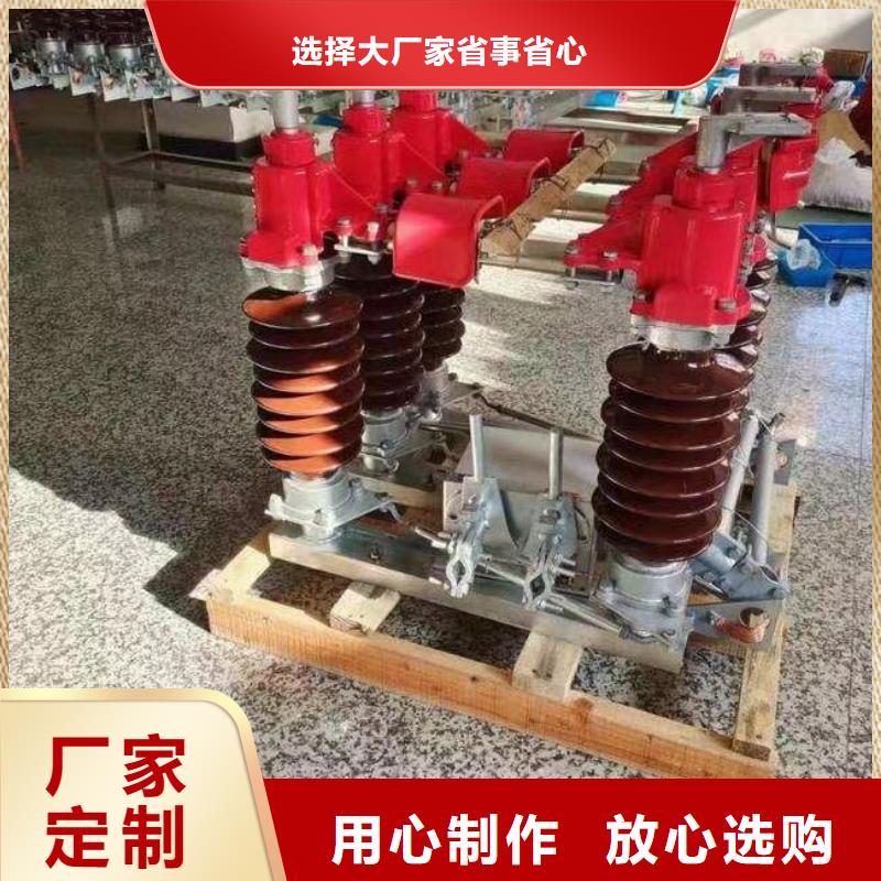 户外高压隔离开关HGW1-10KV/630