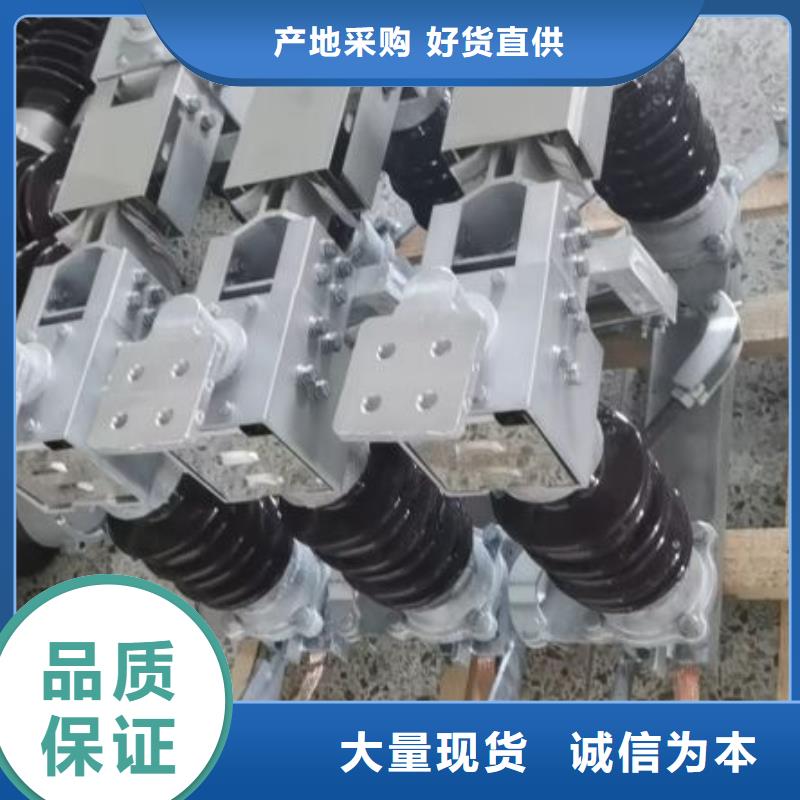 户外高压隔离开关HGW1-10KV/630