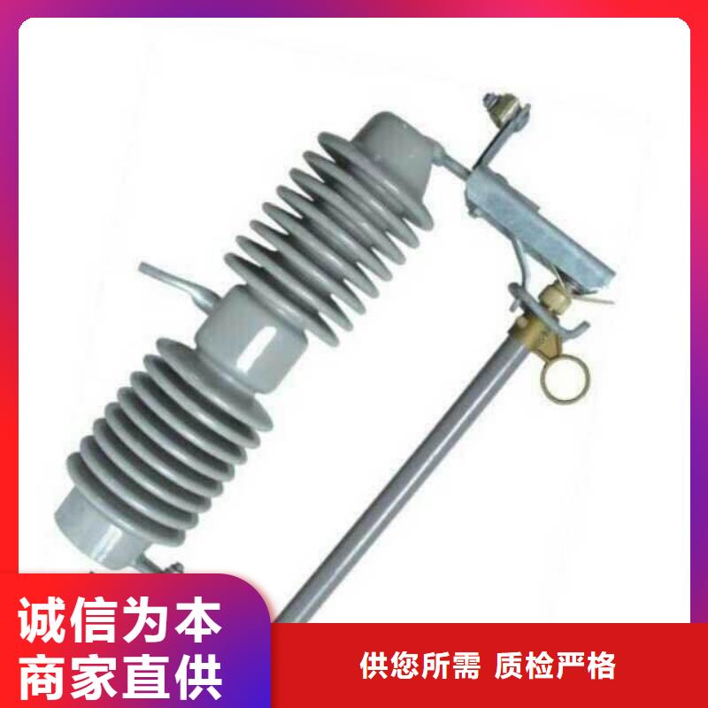 氧化锌避雷器HY5WS-17/50生产厂家浙江羿振电气有限公司