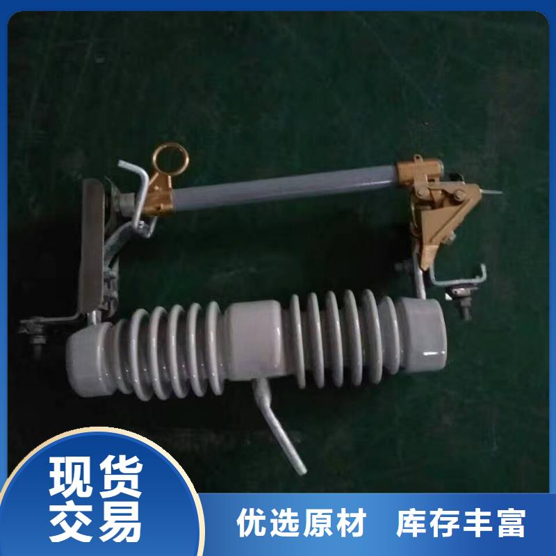 高压熔断器/HRW11-10KV/100