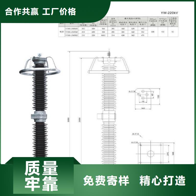 避雷器Y10W-102/266.