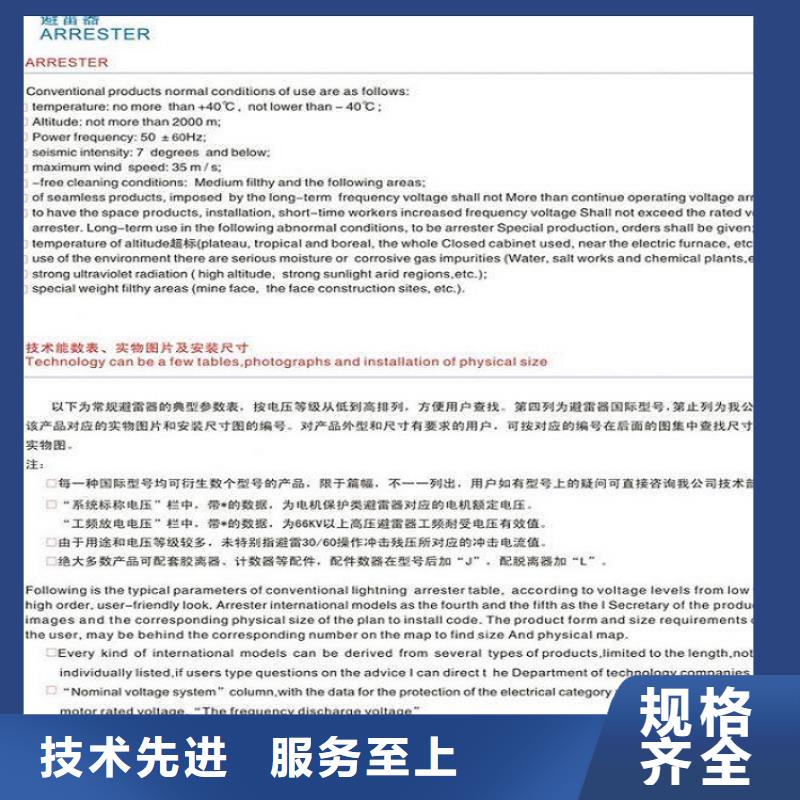 【羿振电力】避雷器YH5CX5-108/281，放电计数器