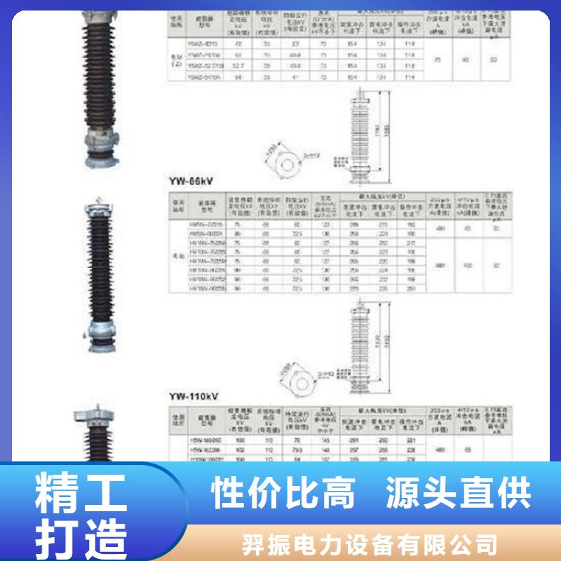 避雷器Y5WR-69/224..